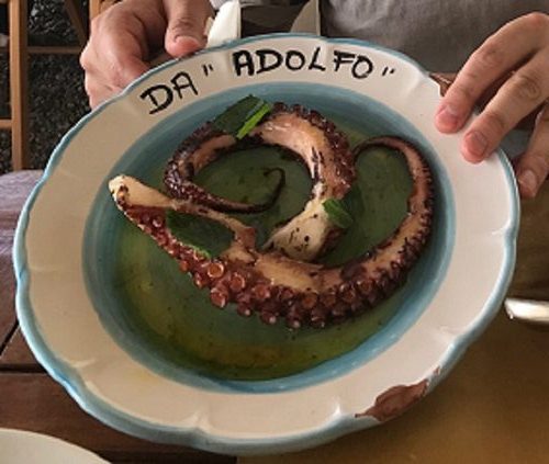 Da Adolfo Octopus